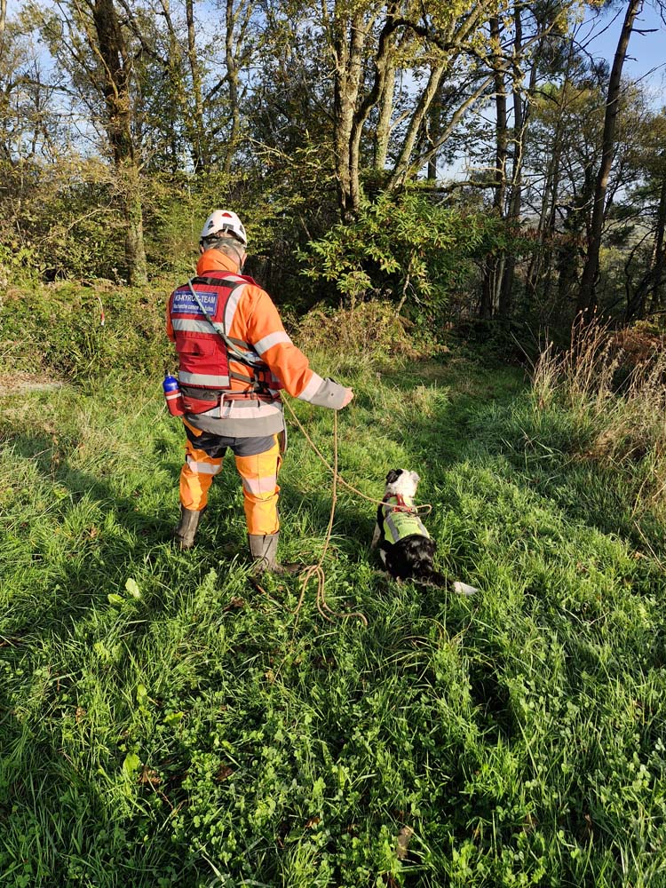 Recherche de fuites canines