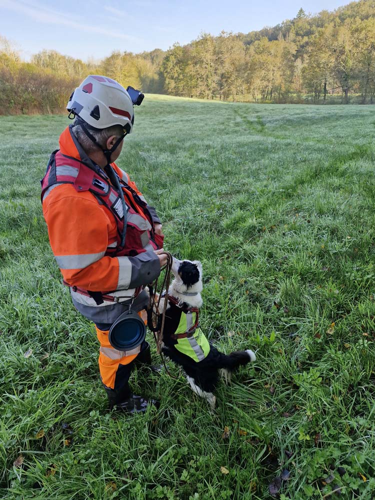 Recherche de fuites canines