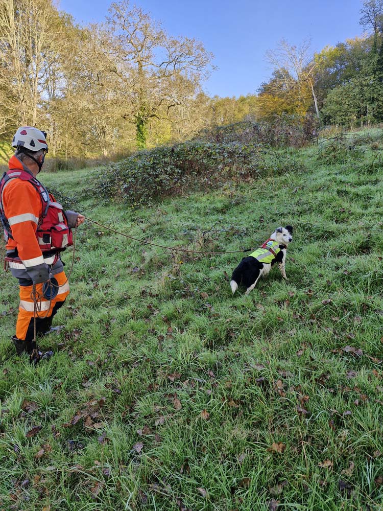 Recherche de fuites canines